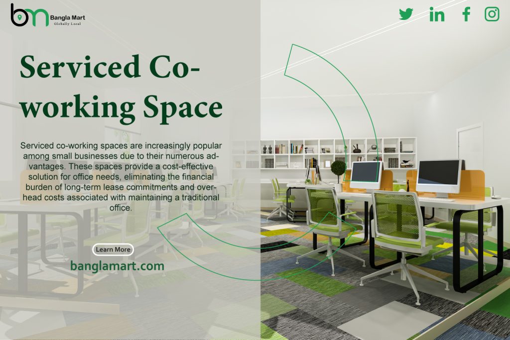 Serviced Co-working Space