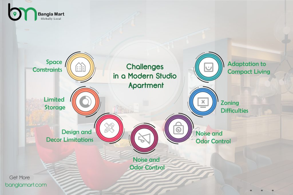 Challenges in a Modern Studio Apartment